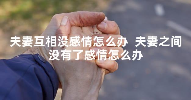 夫妻互相没感情怎么办  夫妻之间没有了感情怎么办